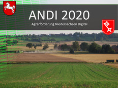 ANDI 2020
