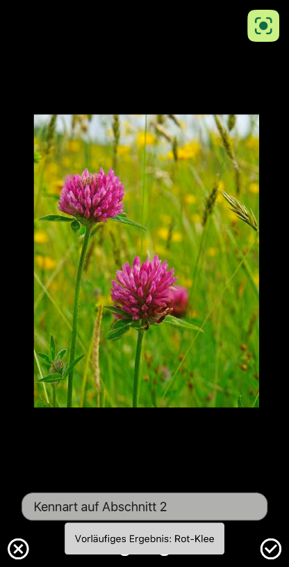 Die Abbildung zeigt einen Screenshot aus der App FANi mit einem Foto einer Kennart, das mit der App aufgenommen wurde
