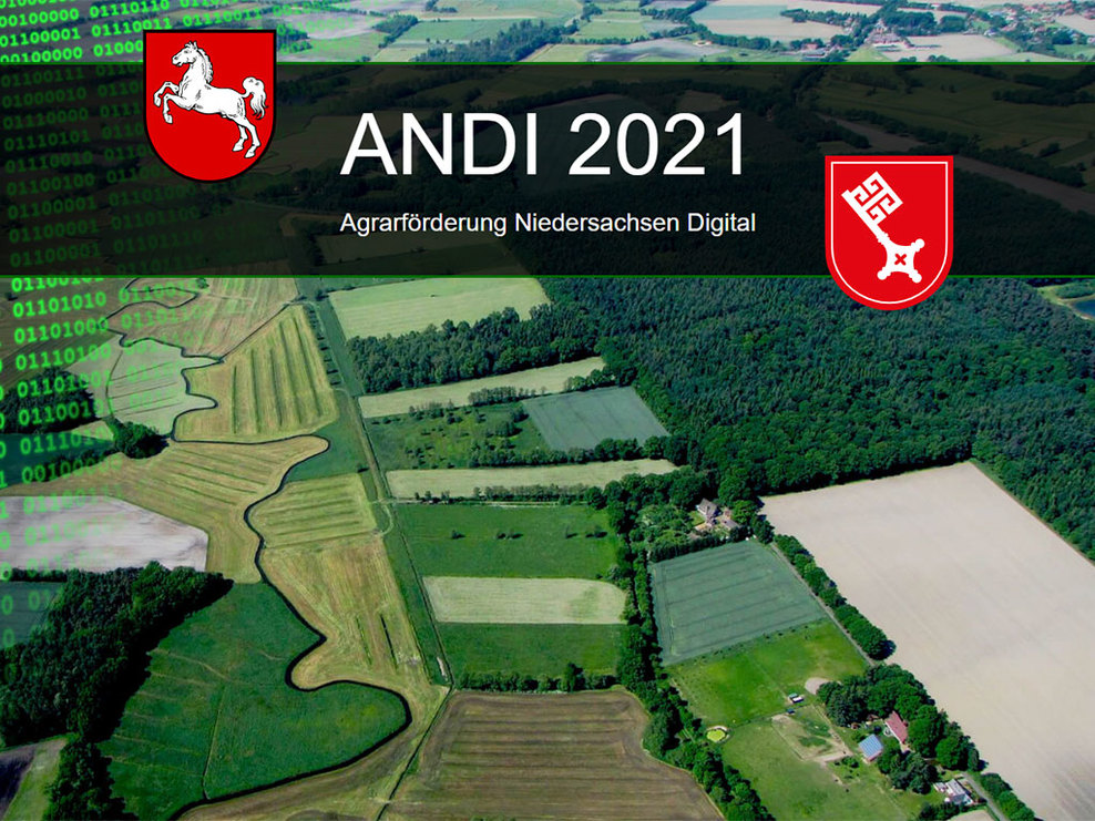 ANDI 2021